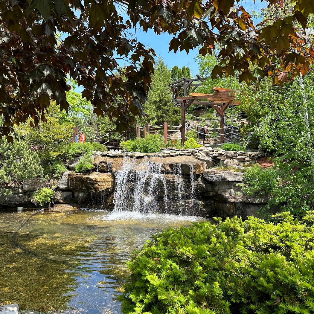 Cascades Golf 2